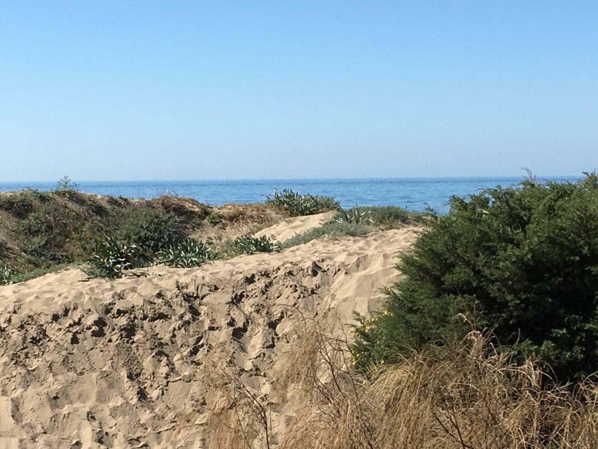 Estudio Primera Linea 50 Mtrs Playa. Fibra 600Mb Marbella Dış mekan fotoğraf